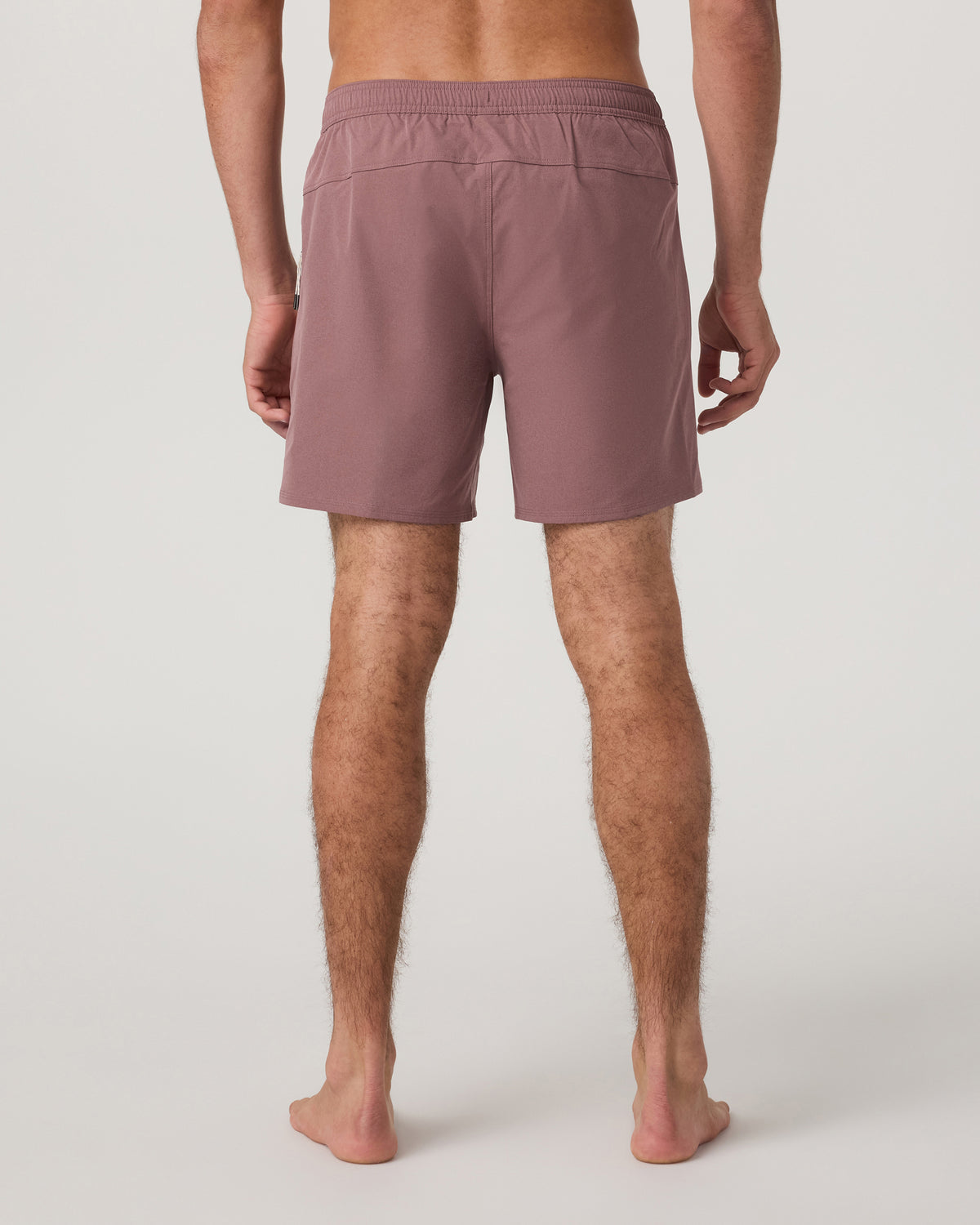 Men Vuori Maverick Volley Short Lined Men's Adobe Swim Shorts